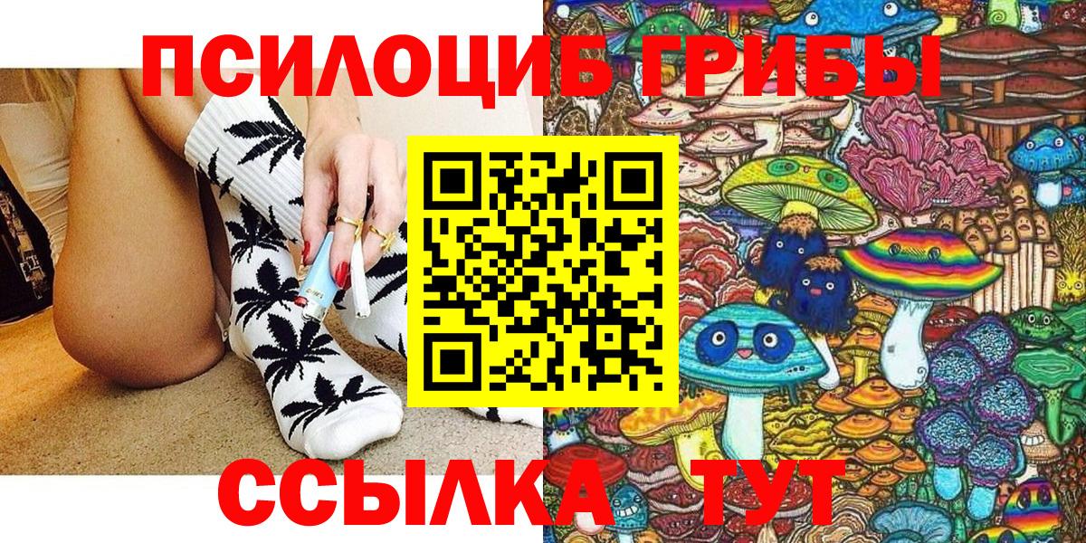 Псилоцибиновые грибы Cubensis  Галлюциногенные грибы Cubensis  Волхов  где купить наркоту  Вход с VPN 