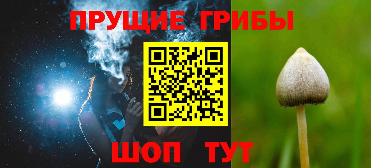 Псилоцибиновые грибы мицелий Волхов